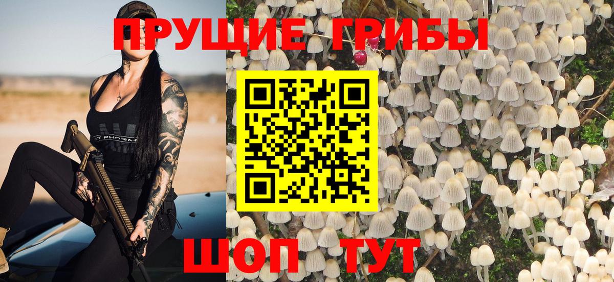 Сухой Лог  Псилоцибиновые грибы прущие грибы  Вход с VPN 