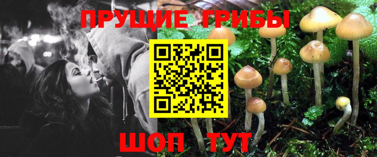 Псилоцибиновые грибы прущие грибы Сухой Лог